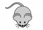Kleine muis (6 - 15g) 25st