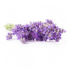CBN Lavendel Conditioner 500ml