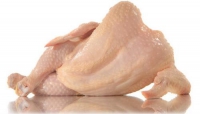 Gepluimde kip zonder ingewanden +/- 10kg